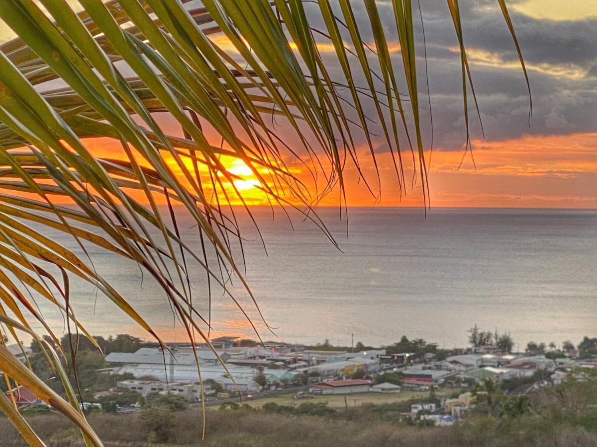 Residence Paradis Tropical Basse-Terre Buitenkant foto