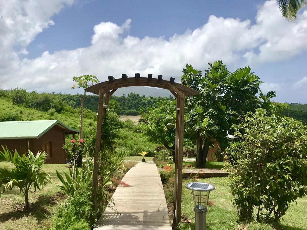 Residence Paradis Tropical Basse-Terre Buitenkant foto
