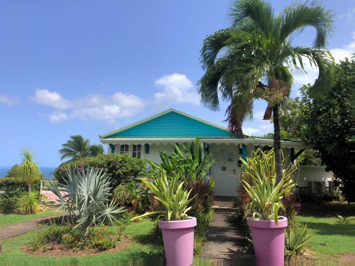 Residence Paradis Tropical Basse-Terre Buitenkant foto