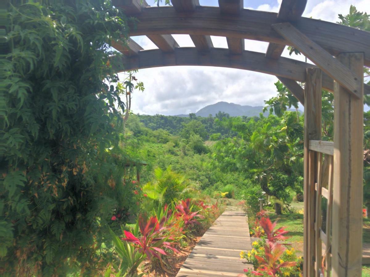Residence Paradis Tropical Basse-Terre Buitenkant foto