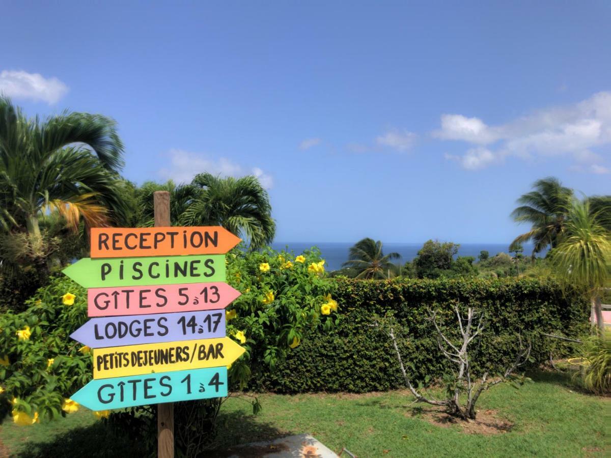 Residence Paradis Tropical Basse-Terre Buitenkant foto