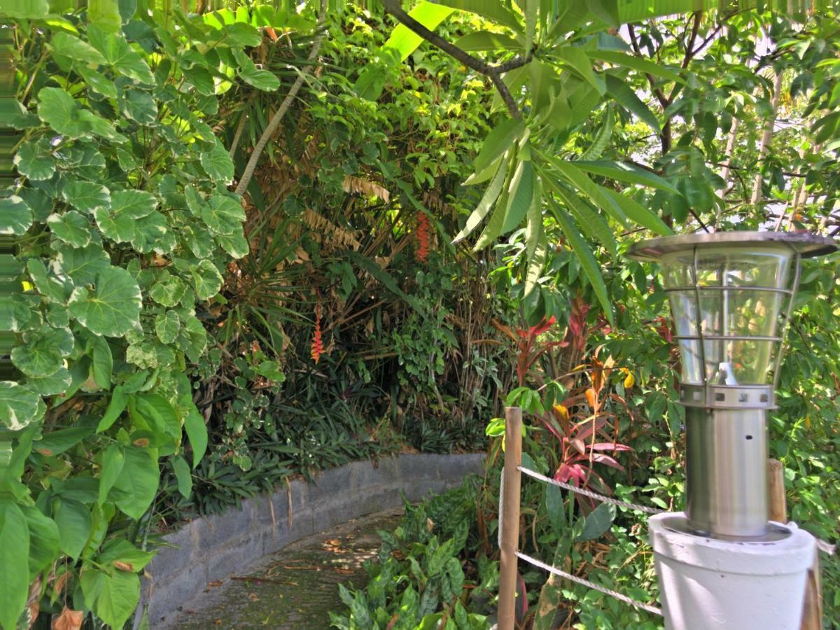 Residence Paradis Tropical Basse-Terre Buitenkant foto