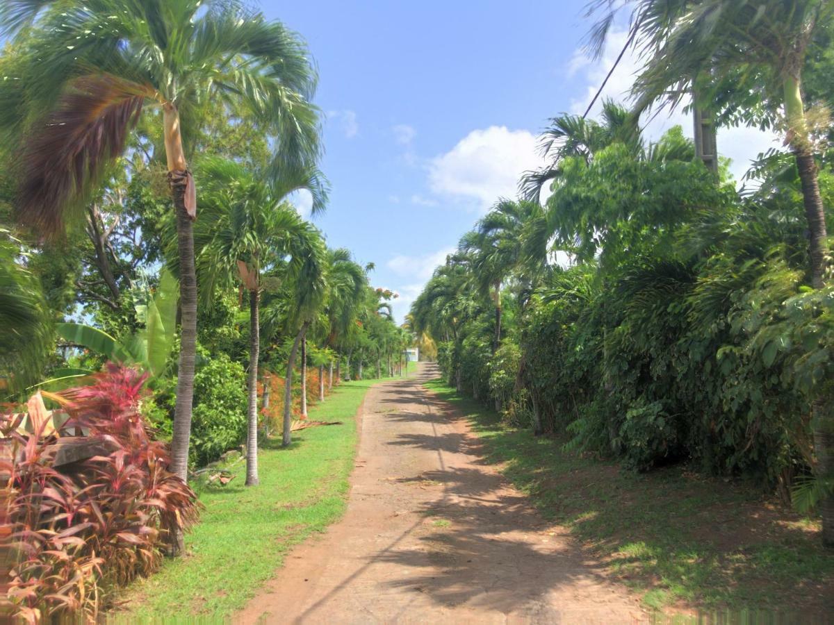 Residence Paradis Tropical Basse-Terre Buitenkant foto