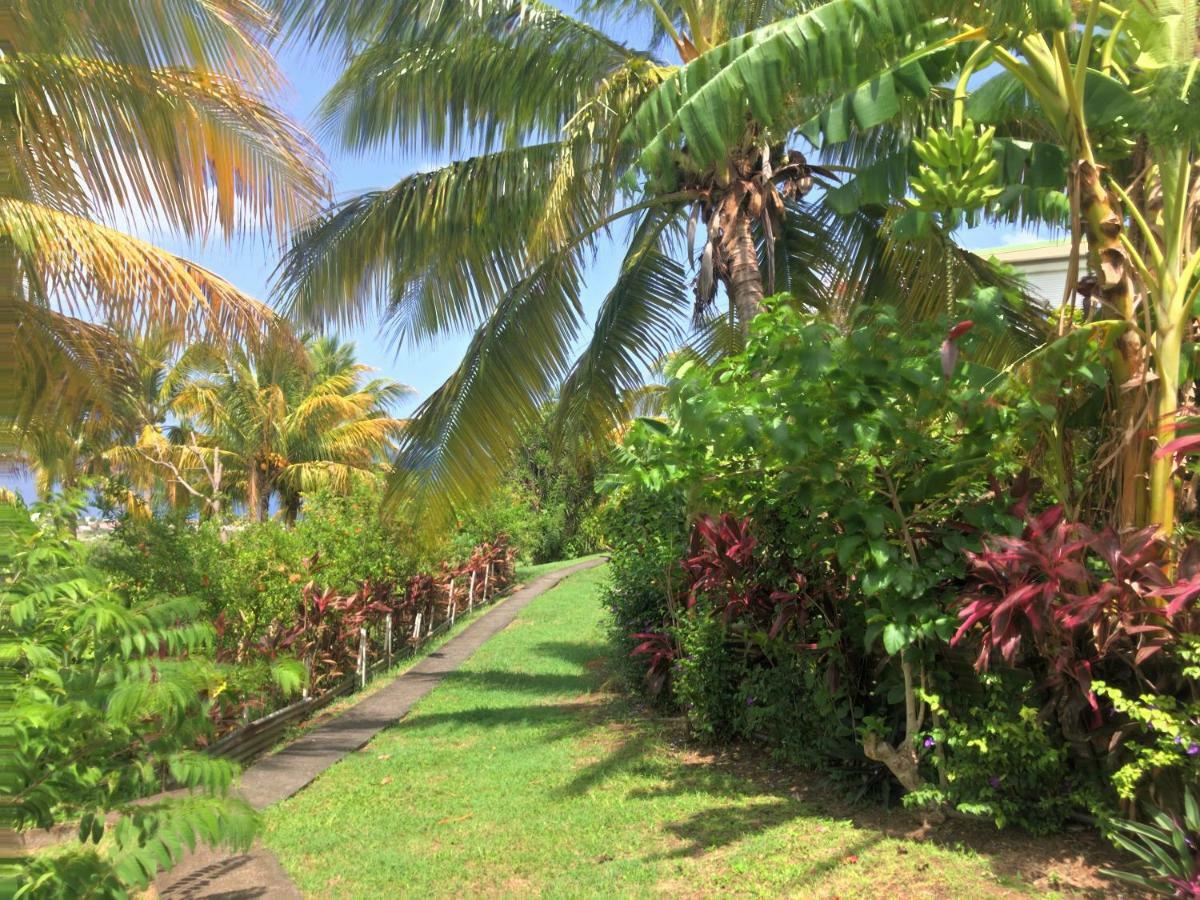 Residence Paradis Tropical Basse-Terre Buitenkant foto