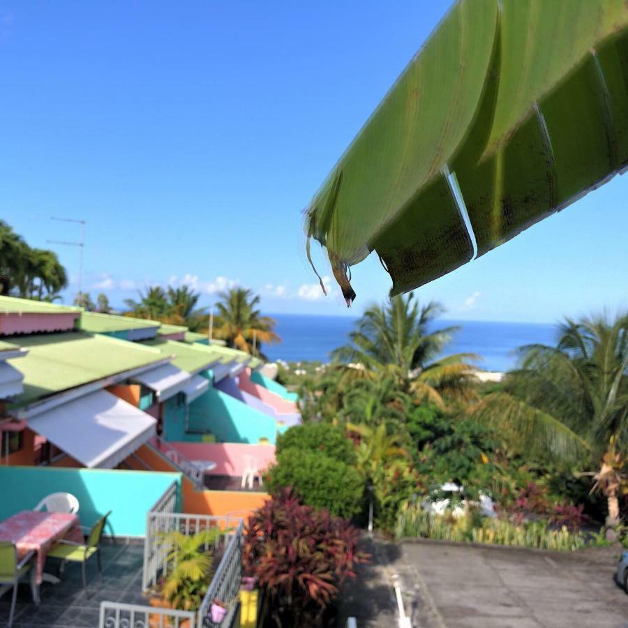 Residence Paradis Tropical Basse-Terre Buitenkant foto