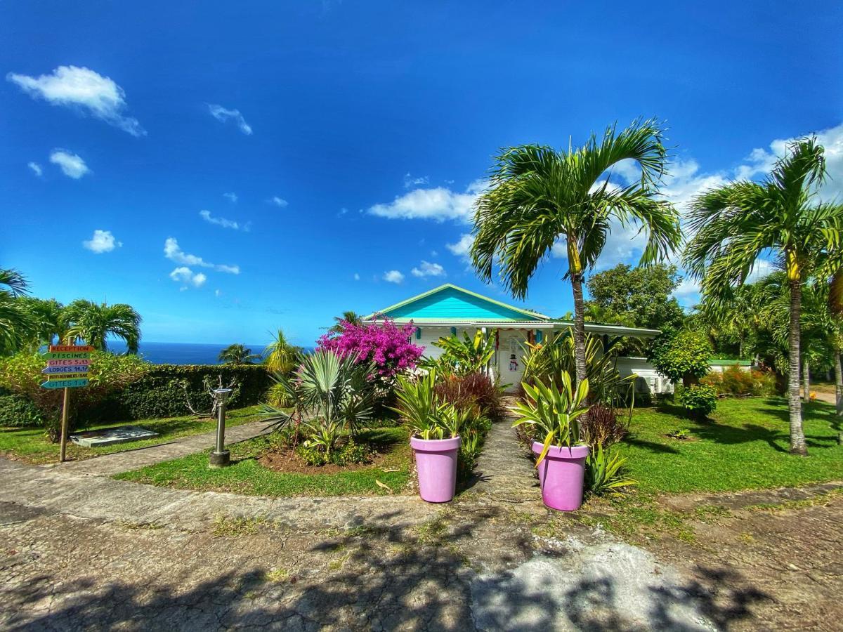 Residence Paradis Tropical Basse-Terre Buitenkant foto