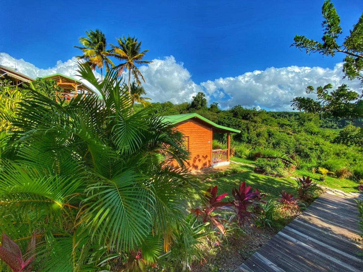 Residence Paradis Tropical Basse-Terre Buitenkant foto